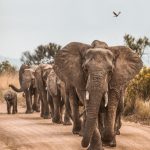 Three reasons to explore South Africa