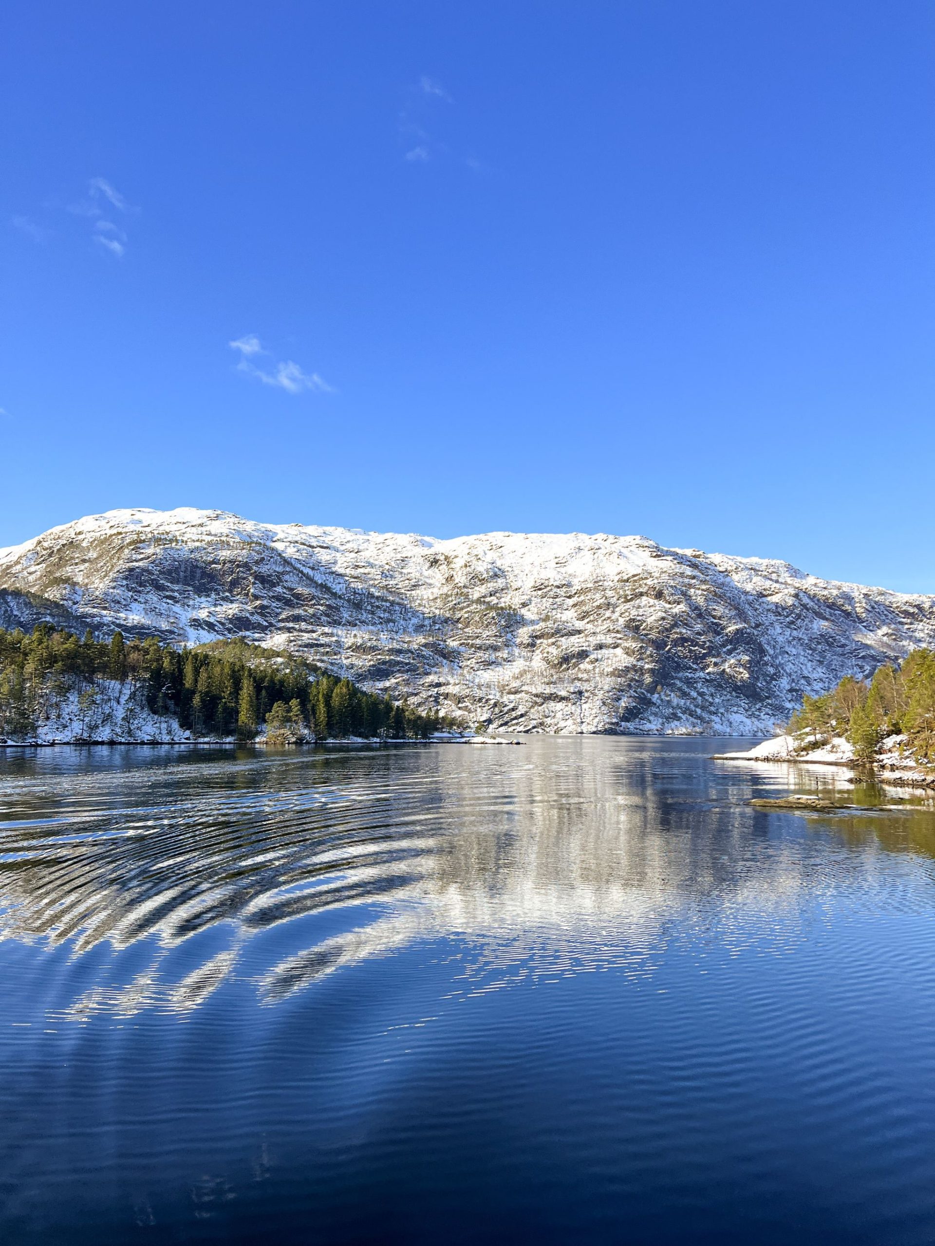 Experiencing The Majestic Norwegian Fjords In Bergen