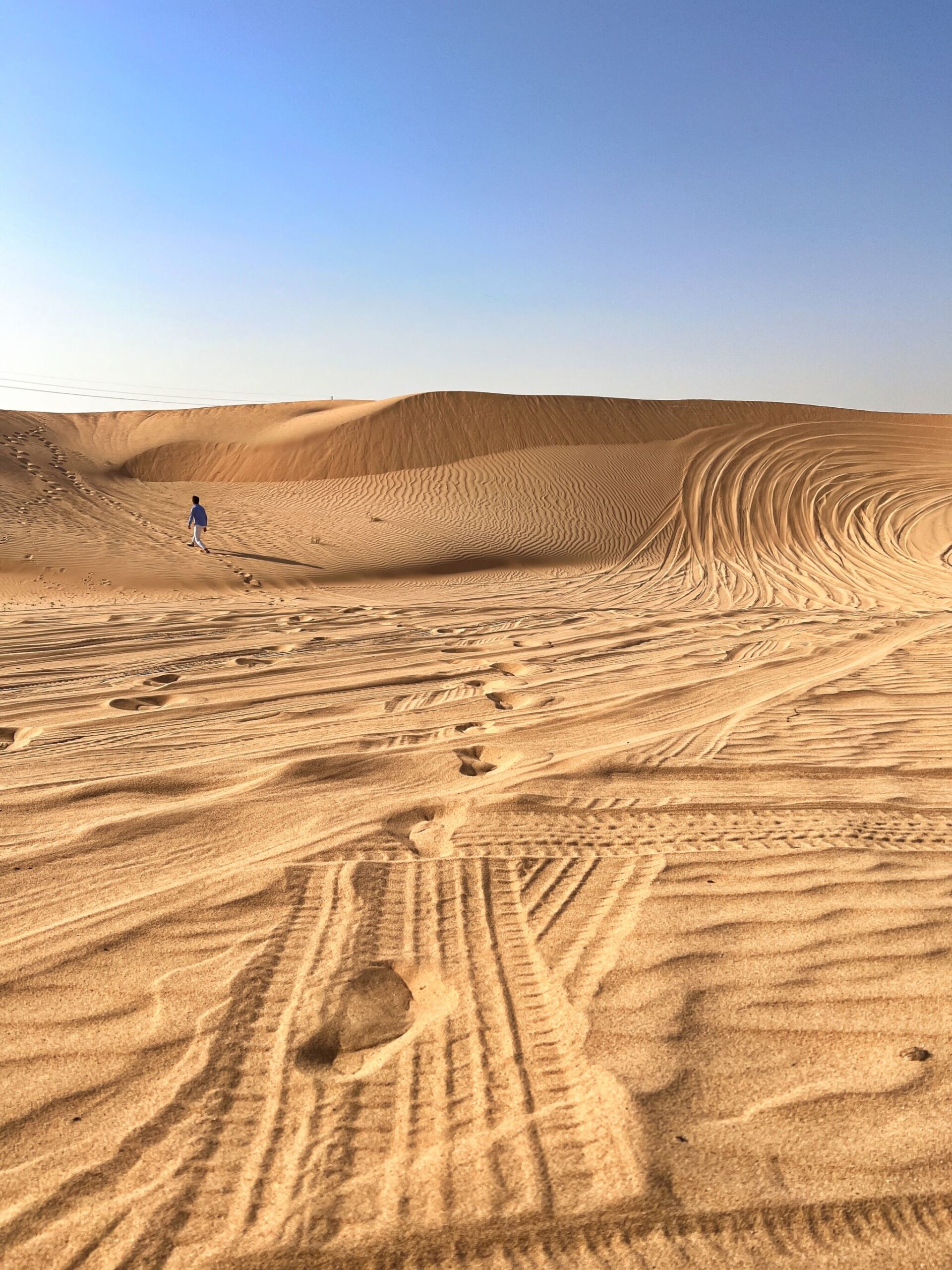 Desert Safaris and Arabian Nights in Abu Dhabi