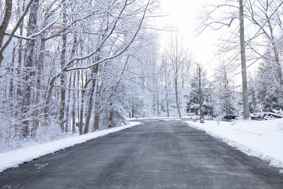 A tranquil winter scene with snow-covered trees lining a quiet road in a forest.