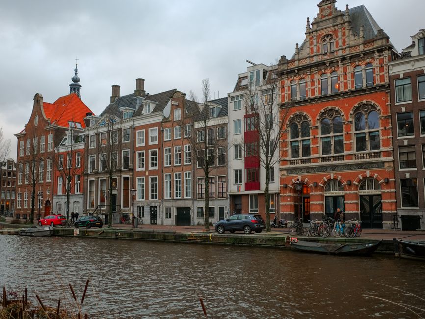Amsterdam in March: Early Tulips and Canal Walks in Spring