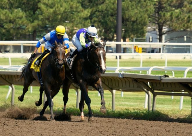 July City Break Heat Plans: 5 Indoor Backups