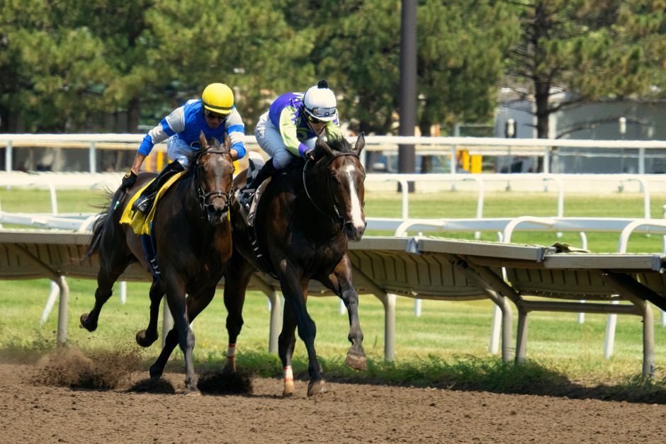 July City Break Heat Plans: 5 Indoor Backups
