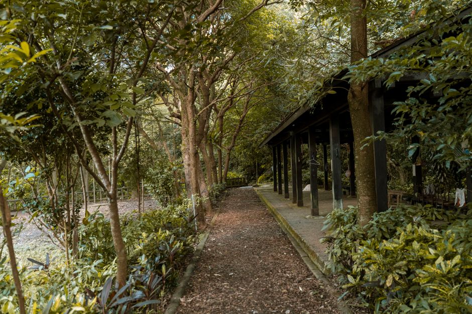 A serene path in a forest next to a rustic wooden shelter, perfect for nature lovers.