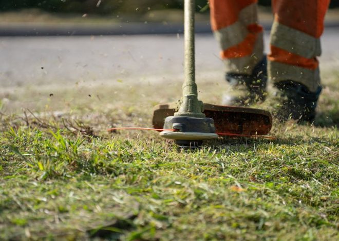 SENIX Gas Walk Behind Brush Cutter: Does It Really Tackle Heavy Weeds?