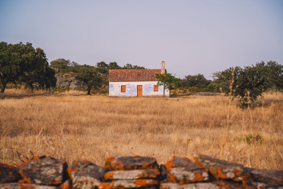 A lone rustic farmhouse surrounded by a golden autumn field under clear skies.
