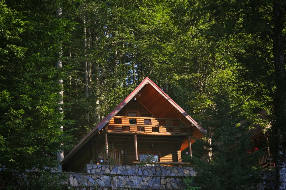 Cozy wooden cabin nestled in lush green forest, perfect for retreat.