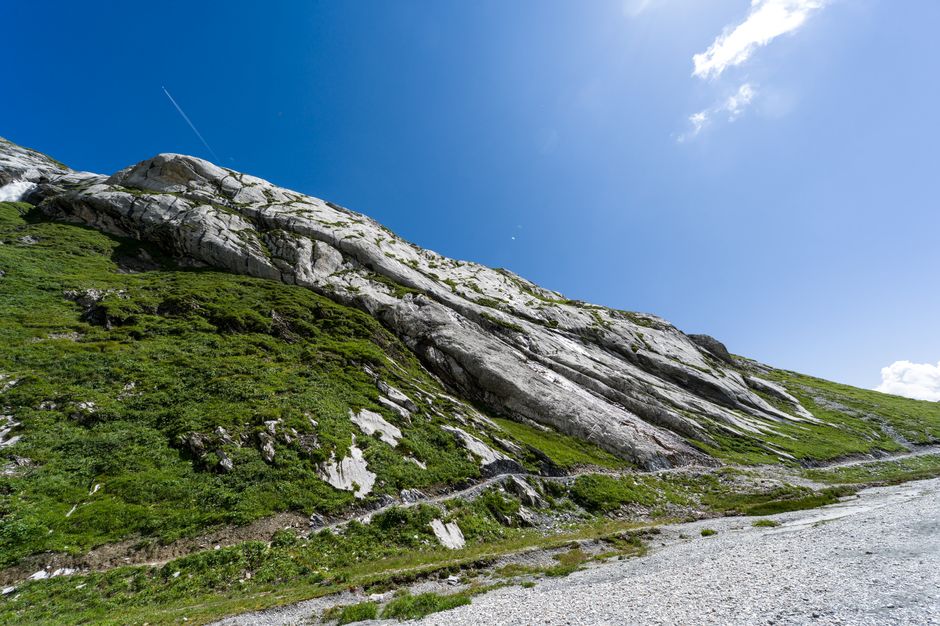 Breathtaking view of a Swiss mountain with lush greenery under a clear blue sky.