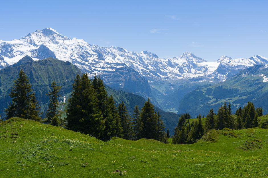 Scenic view of the snow-capped Jungfrau mountains in Switzerland surrounded by lush greenery.