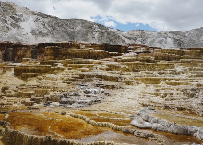 Yellowstone Backpacking: Permits, Bears, and the Trails Worth It