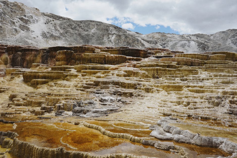 Yellowstone Backpacking: Permits, Bears, and the Trails Worth It