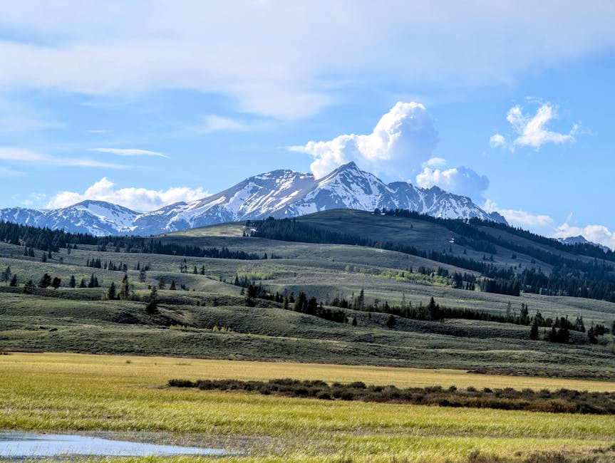 Expansive view of snow-capped mountains and open fields in Yellowstone National Park.