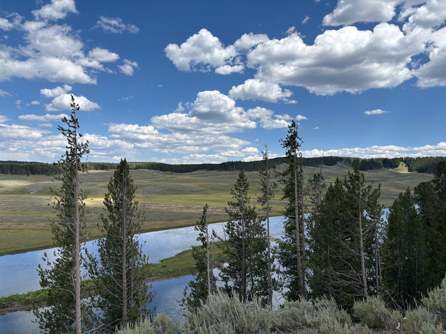 Beautiful view of a river, pine trees, and hills in West Yellowstone, MT.
